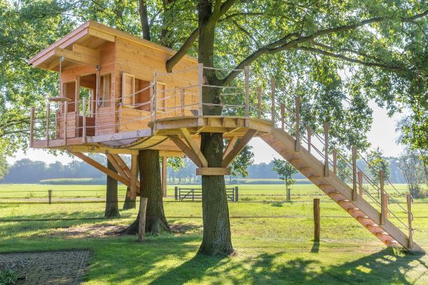 Treehouse Construction