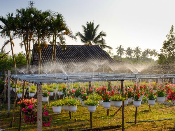 Commercial Property Repair