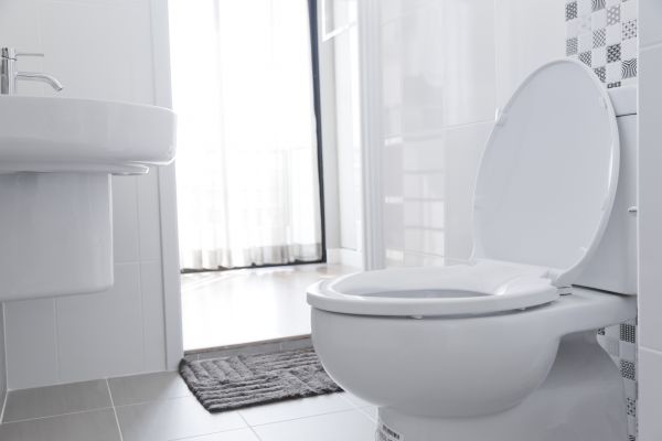 Toilet Seat Installation in Rockledge