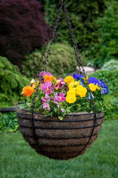 Cost of Hanging Basket Installation in Rockledge
