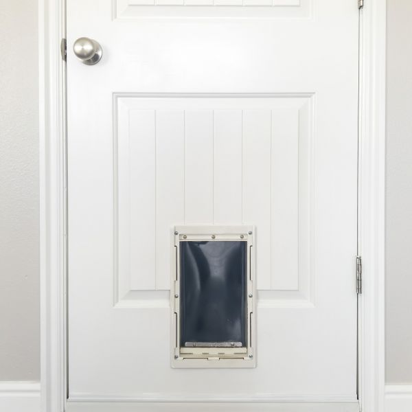 Pet Door Repair in Rockledge